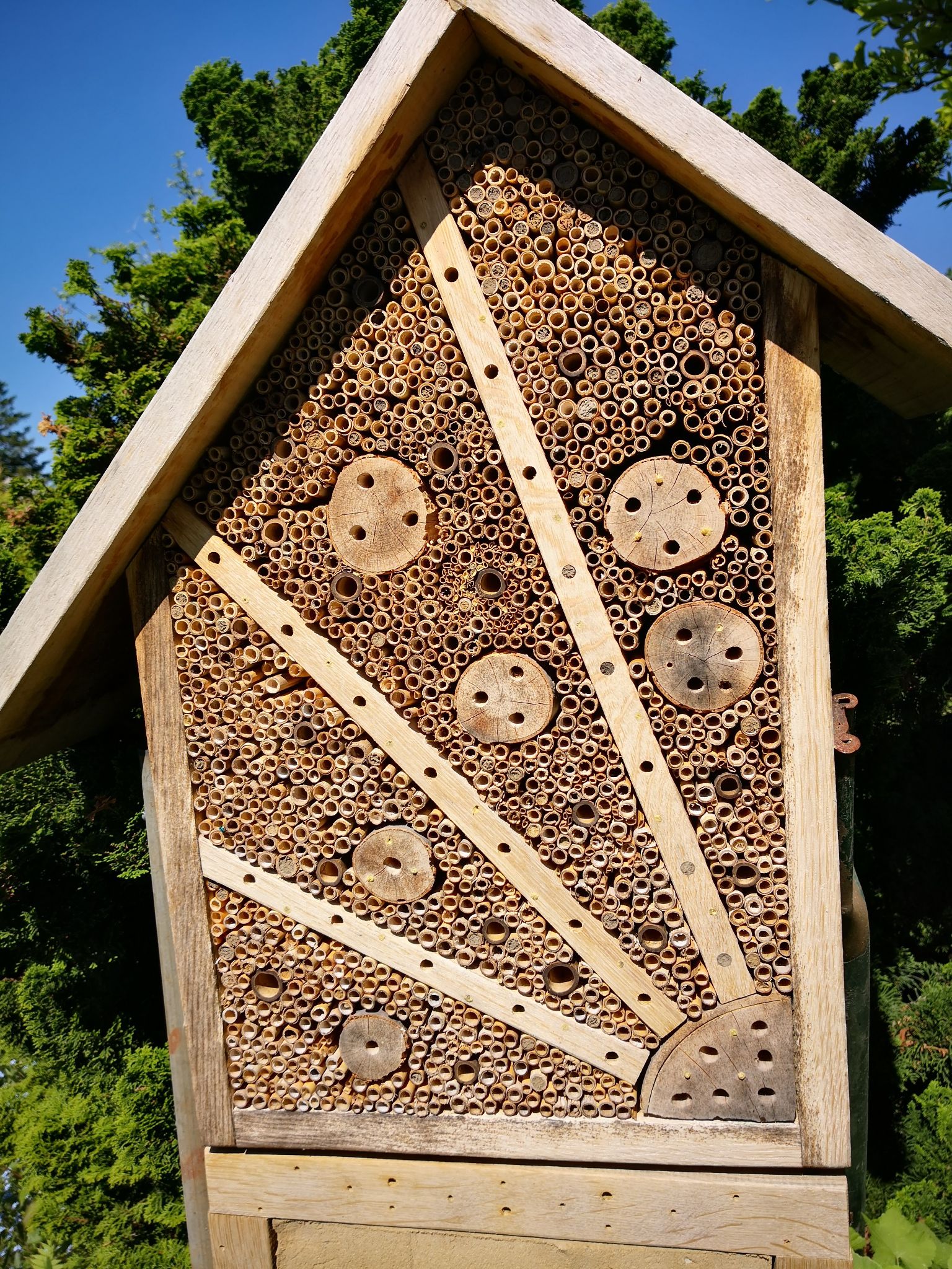 funktionierendes  Bienenhotel 