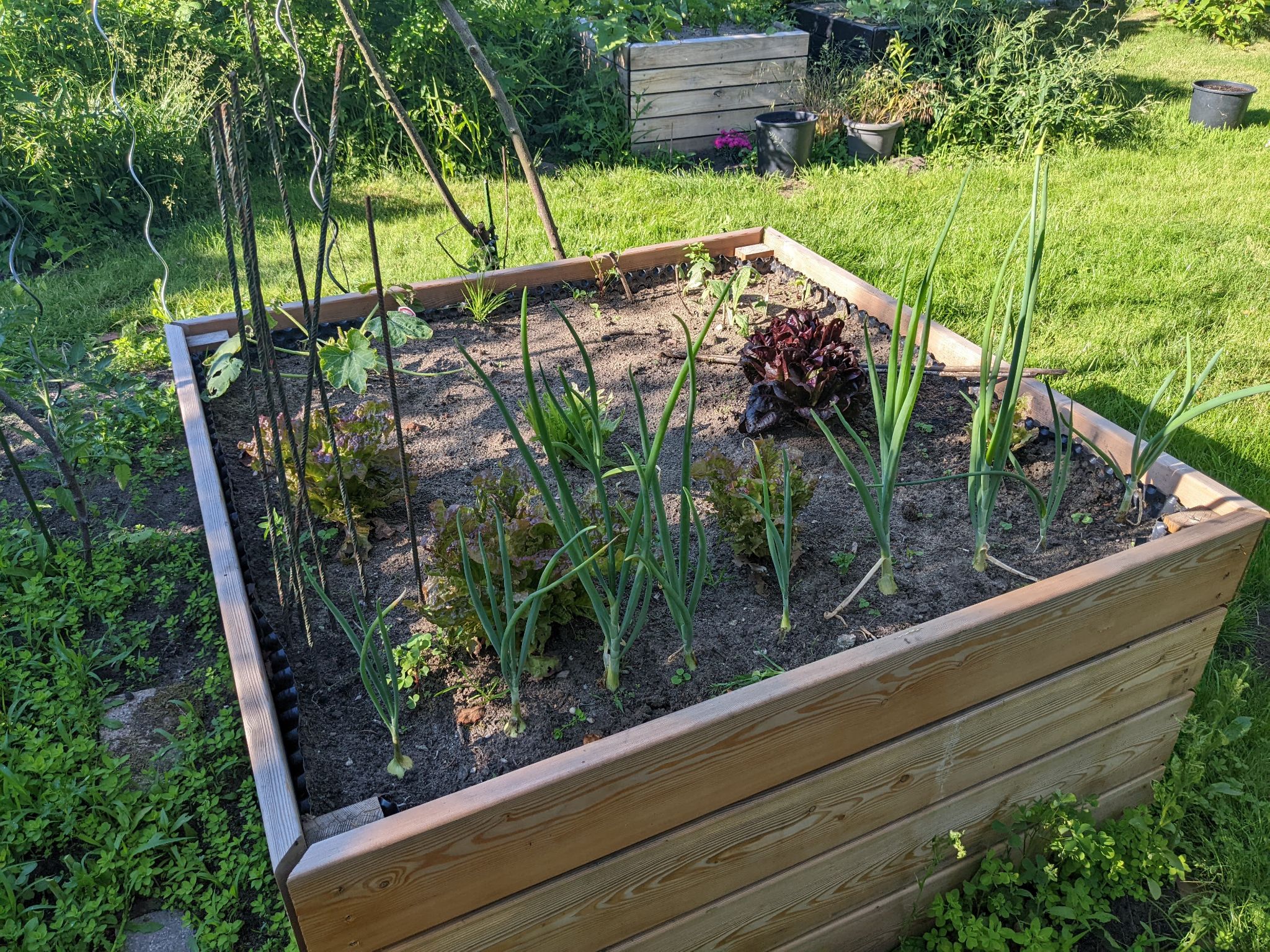 Anderes Projekt